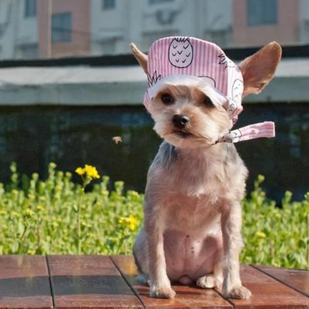 Pink Pineapple Dog Hat